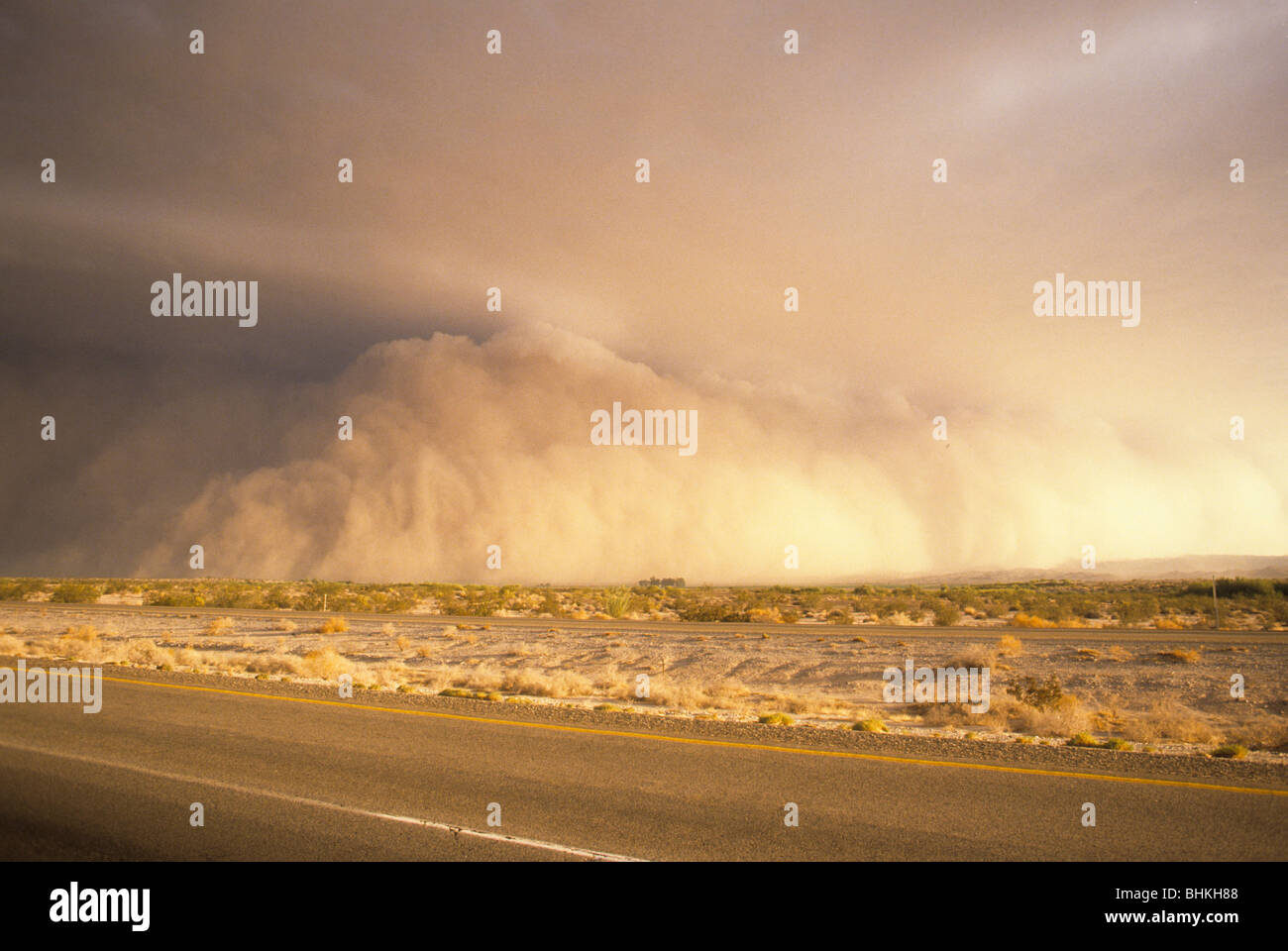 Tempesta di polvere Yuma Arizona USA deserto colpo di vento sporco cloud riempire sky meteo cloud comunemente chiamato haboob. Foto Stock