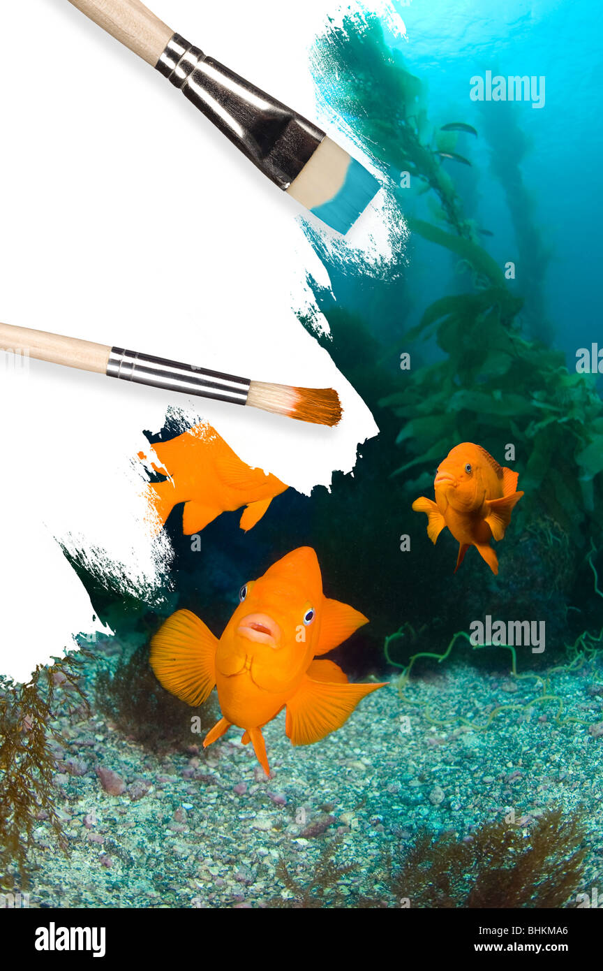 Pittura concettuale di un acqua fredda barriera corallina in California, evidenziando una stella di mare, arancio brillante Garibaldi e delle ondeggianti kelp. Foto Stock