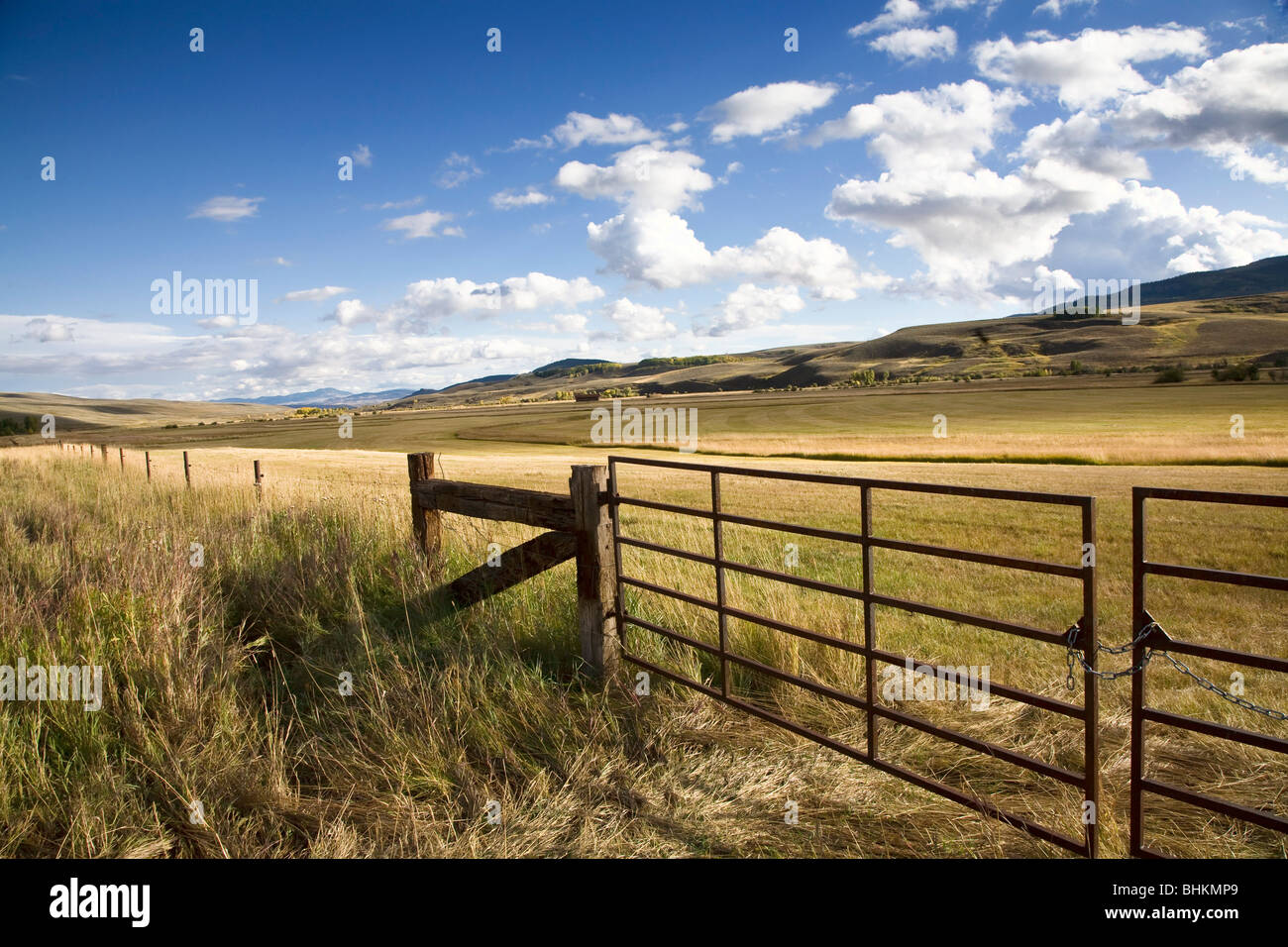 Un ranch di bestiame lungo Ohio Pass Road vicino a Gunnison, Colorado. Foto Stock
