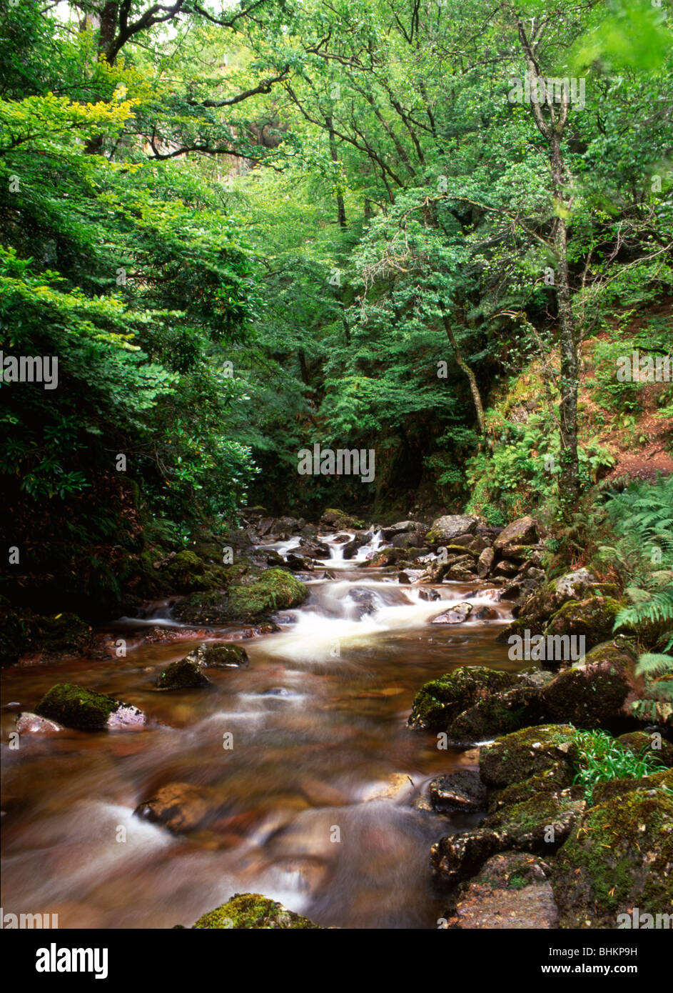 Fiume Leven da Kinlockleven Foto Stock