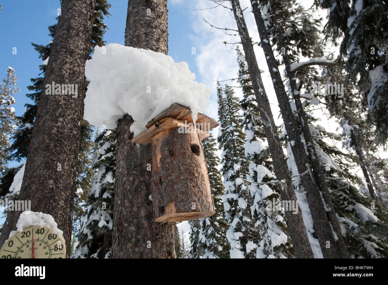 Laghi scozzese High Camp - Alpine Lakes Wilderness, Central Cascade Mountains, Washington Foto Stock