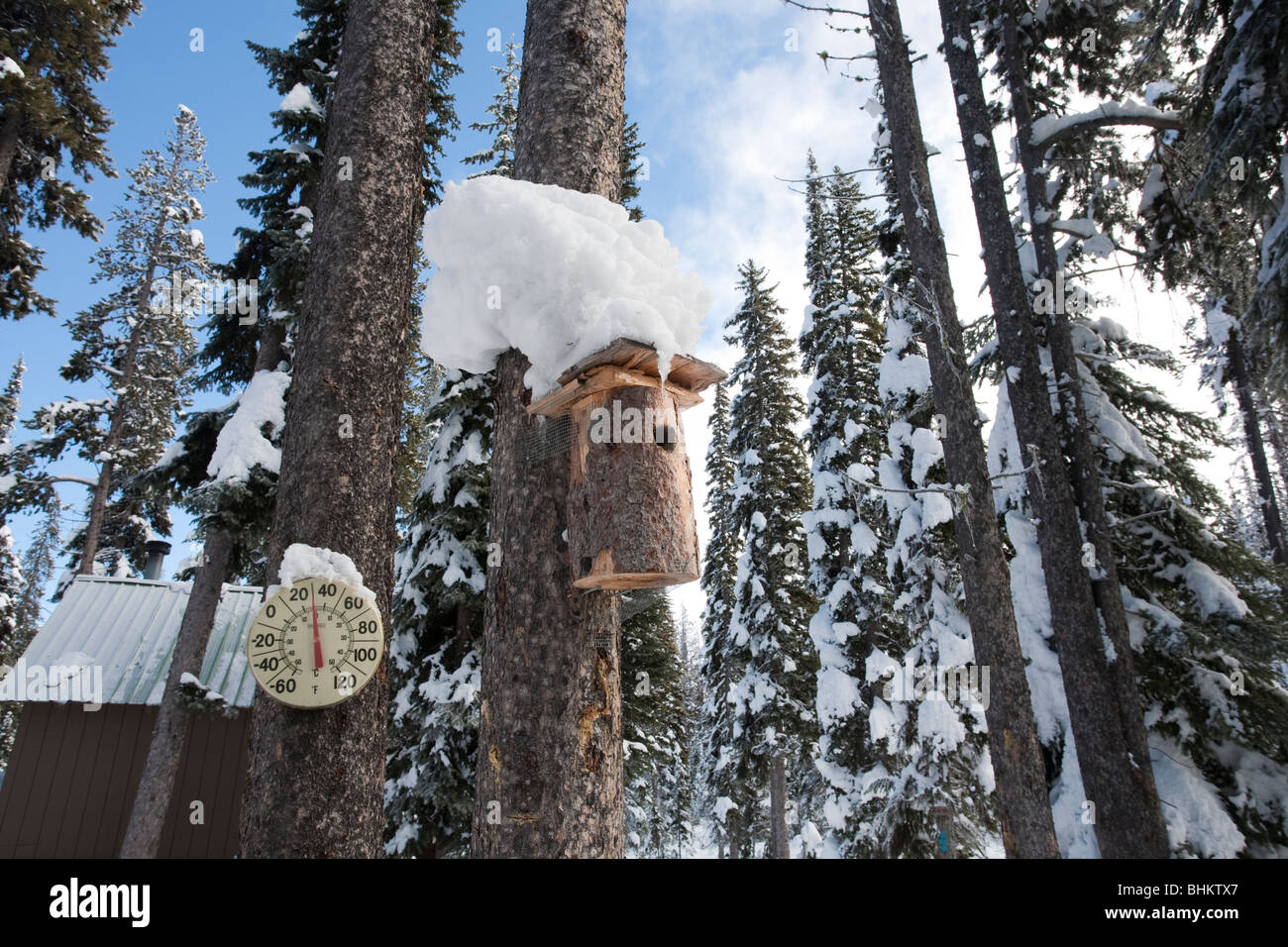 Laghi scozzese High Camp - Alpine Lakes Wilderness, Central Cascade Mountains, Washington Foto Stock