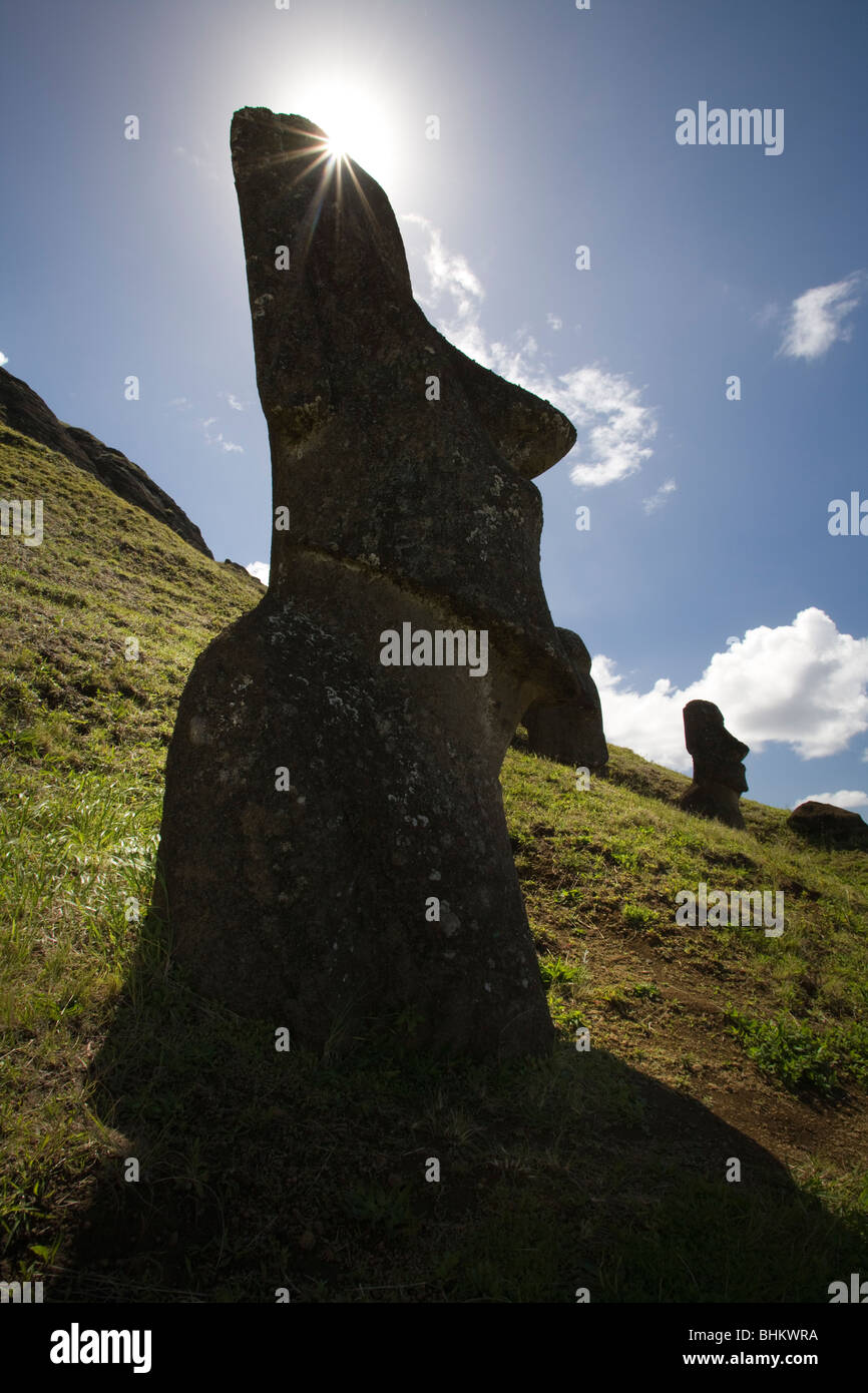 Moai alla cava, su Rapa Nui o isola di pasqua Sito Patrimonio Mondiale dell'UNESCO, Cile Foto Stock