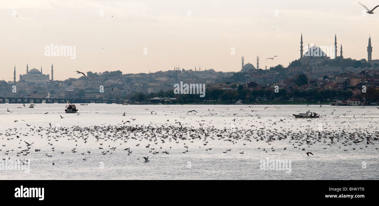 La nuova e la moschea Sulemaniye creano un imponente skyline quando visto da un traghetto sul Golden Horn, Istanbul Foto Stock