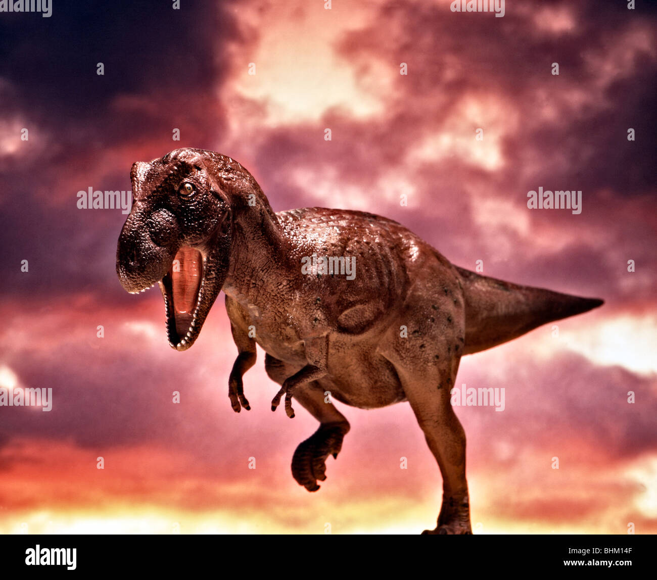 My Image 22