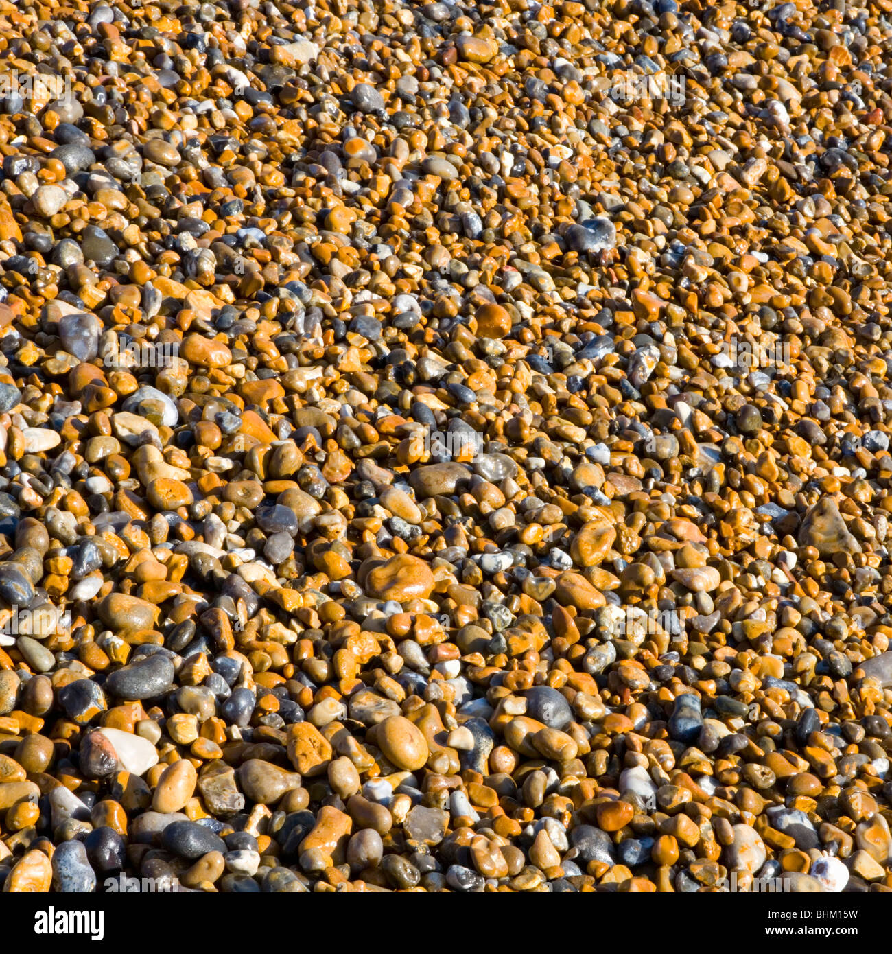 Hastings, East Sussex, Inghilterra. Spiaggia di ciottoli scintillanti al sole. Foto Stock