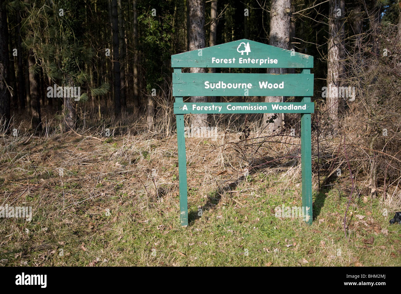 Forest Enterprise commissione forestale bosco segno legno Sudbourne Suffolk in Inghilterra Foto Stock