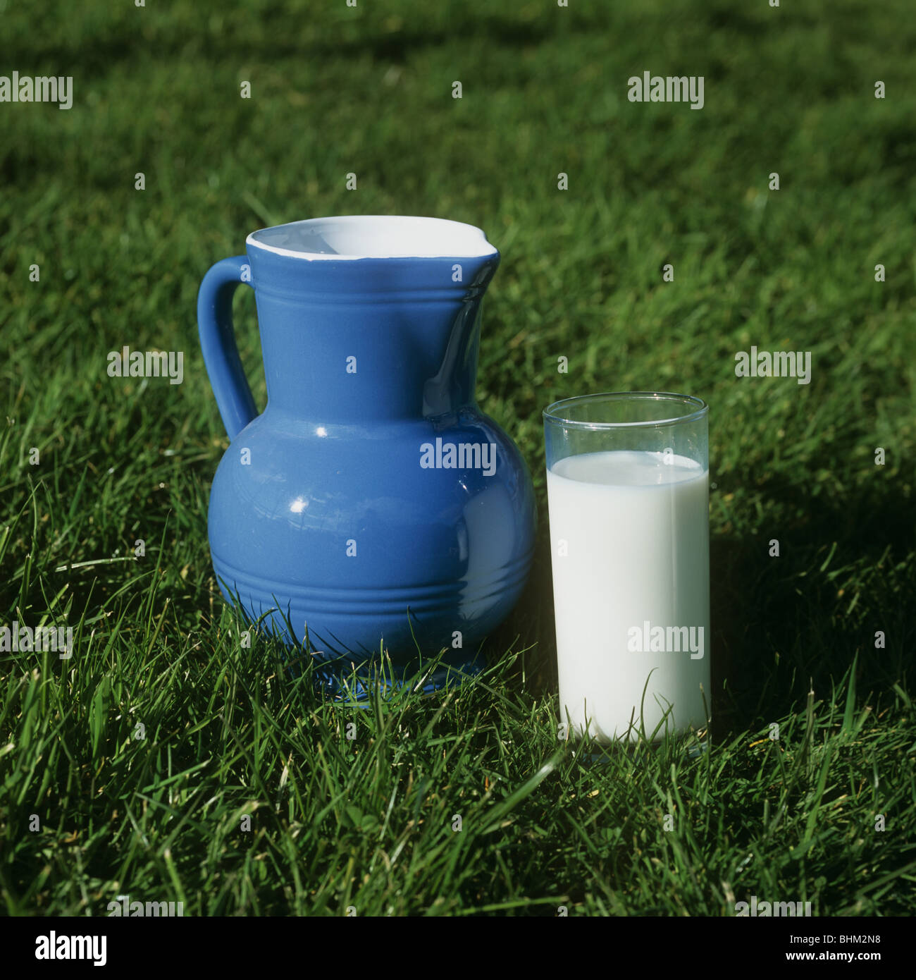 Un blu e bianco brocca e un bicchiere di latte in piedi in un pascolo di erba Foto Stock