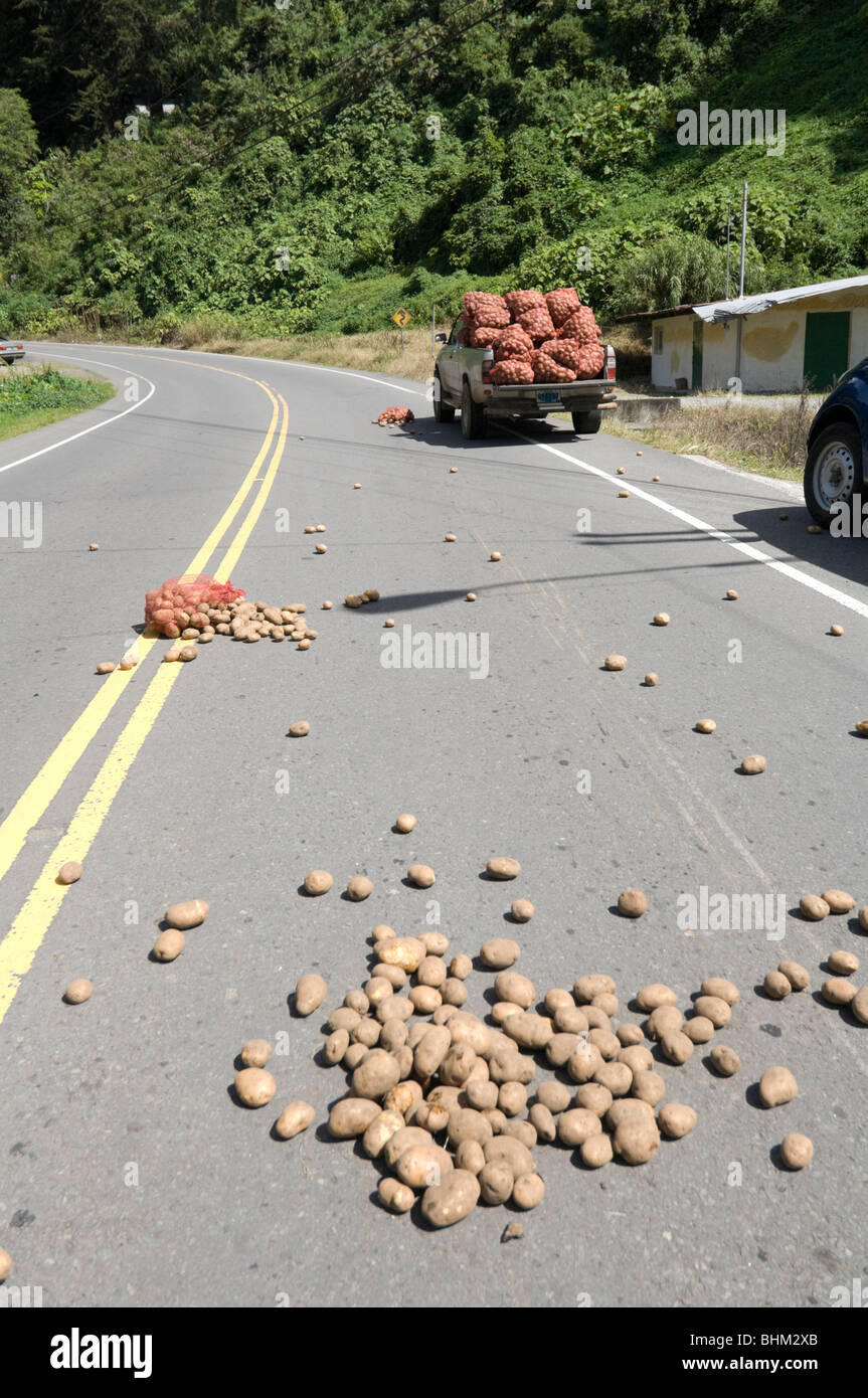 Un camion rovesciato il suo carico di patate, Chiriqui Provincia, Panama Foto Stock