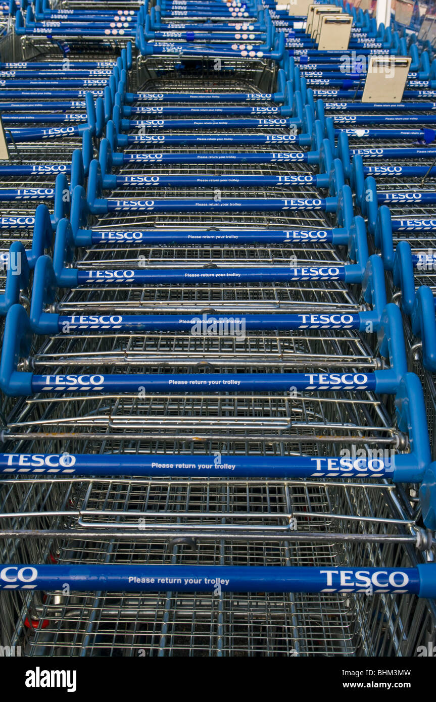 Tesco carrelli di shopping Foto Stock