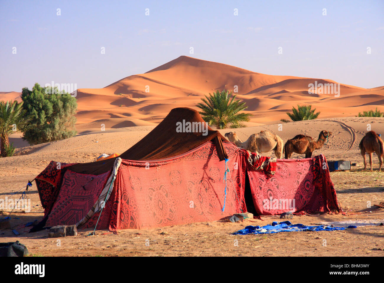 Tenda nomade del deserto sahara immagini e fotografie stock ad alta  risoluzione - Alamy