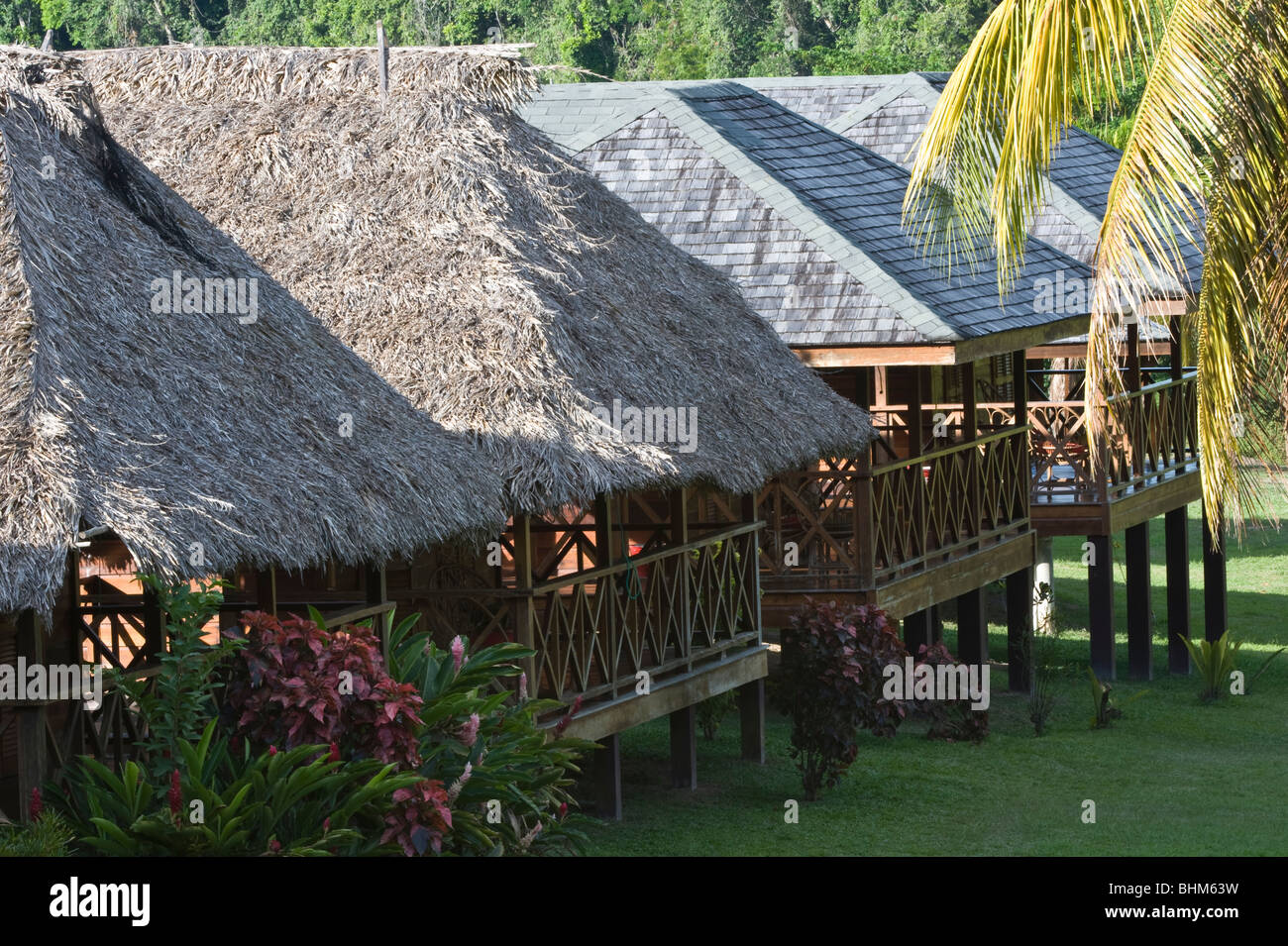 Il fiume Iwokrama Lodges Iwokrama Centro internazionale per la conservazione della foresta pluviale & Sviluppo Guyana Sud America Ottobre Foto Stock