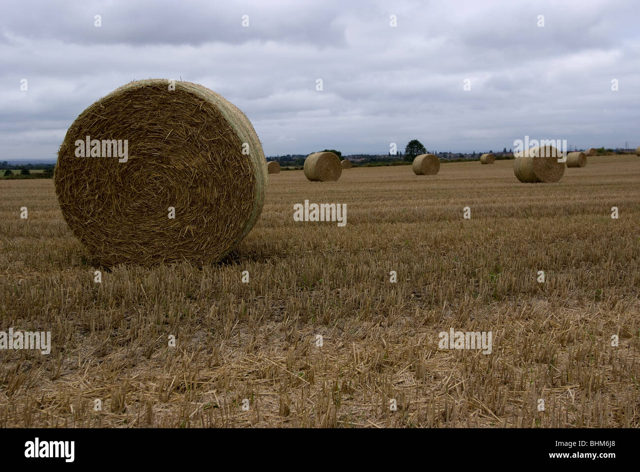 Le balle di paglia nei campi di Laughton En Le Morthen Foto Stock