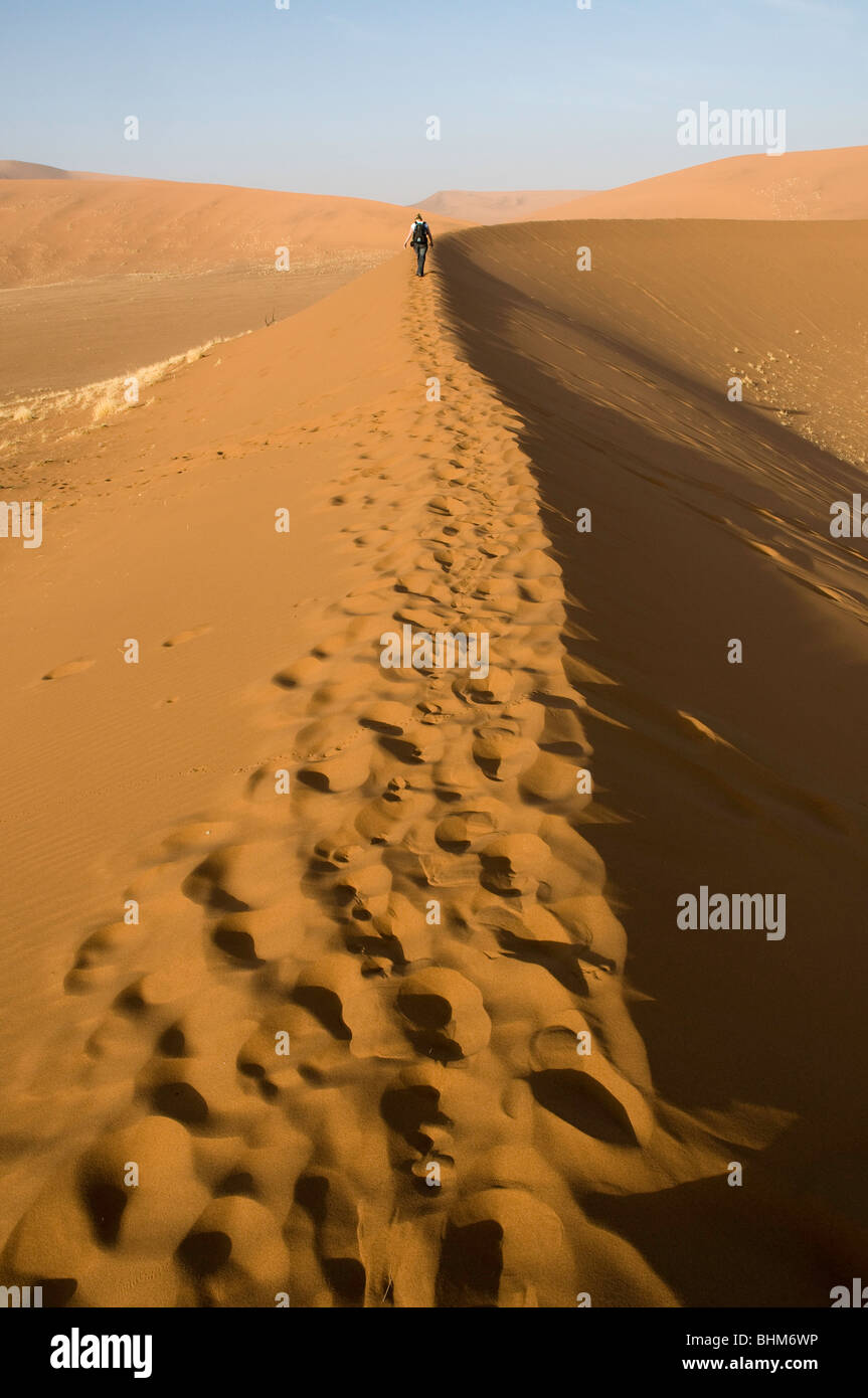 Arrampicata dune di sabbia rossa, Namib Desert, Namibia, Africa Foto Stock