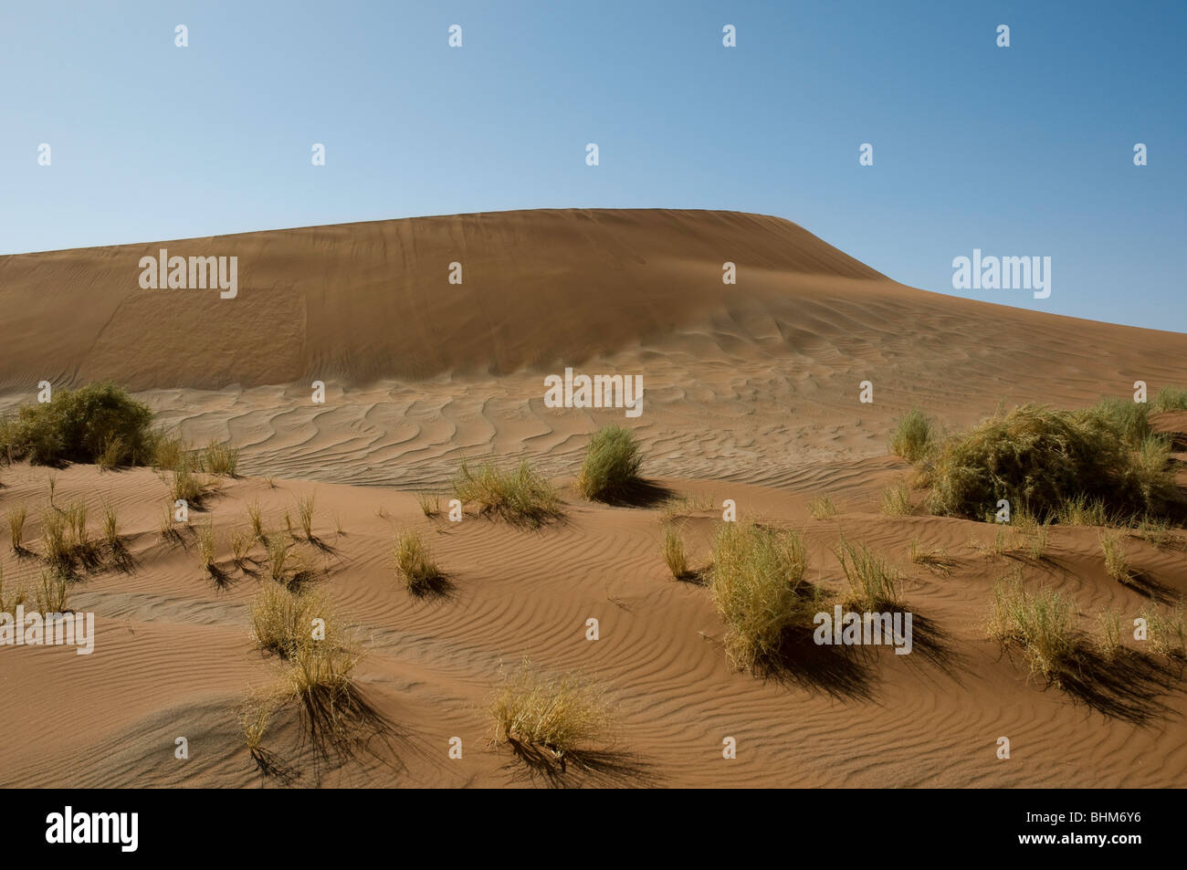 Dune di sabbia rossa, Namib Desert, Namibia, Africa Foto Stock