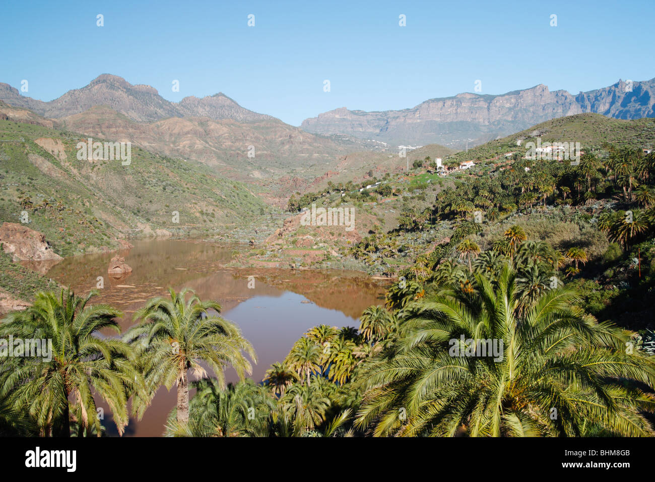Palme intorno a presa (serbatoio) vicino a Santa Lucia villaggio su Gran Canaria nelle isole Canarie. Foto Stock