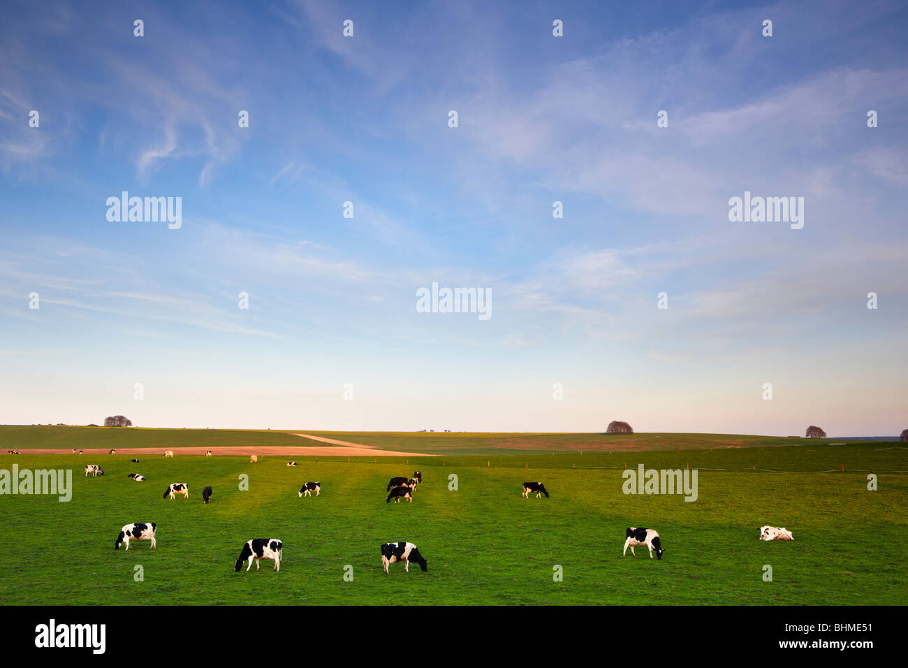 Terreni agricoli vicino Avesbury antico cerchio di pietra Foto Stock