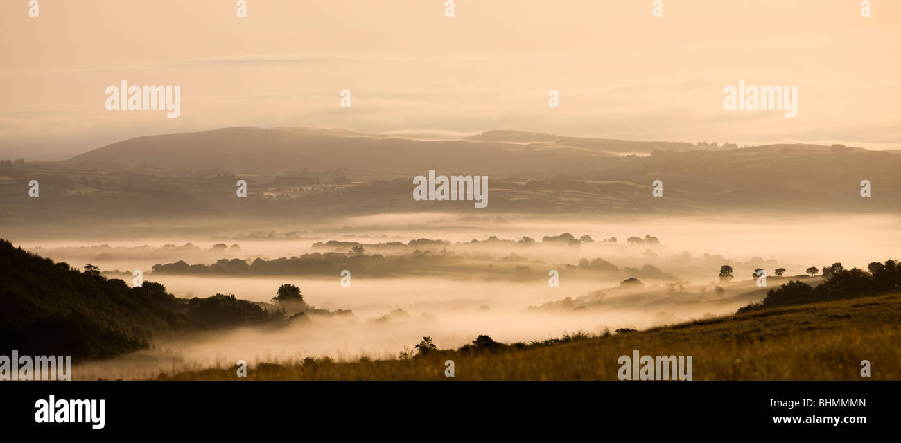 Nebbia copriva campagna all'alba vicino Llangadog, Parco Nazionale di Brecon Beacons, Carmarthenshire, Wales, Regno Unito. Estate (Agosto) 2009 Foto Stock