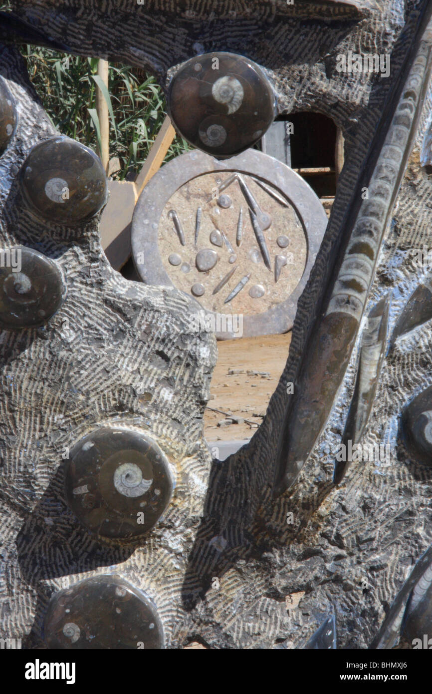 Dettaglio di fossili ad una elaborazione di fossili di fabbrica in Marocco, Africa del Nord Foto Stock