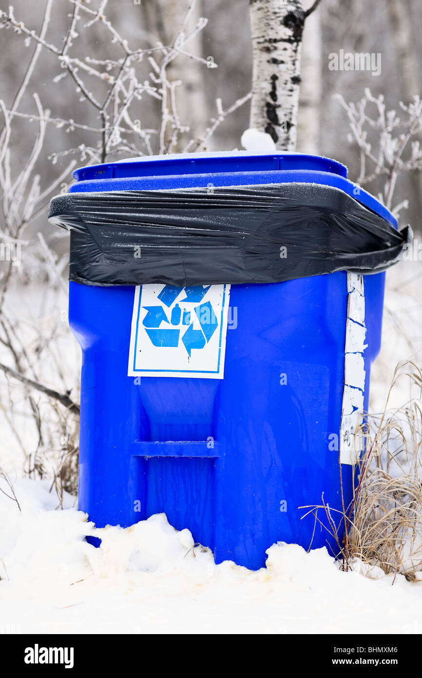 Blue box contenitore di riciclaggio in un bosco urbano. Foto Stock