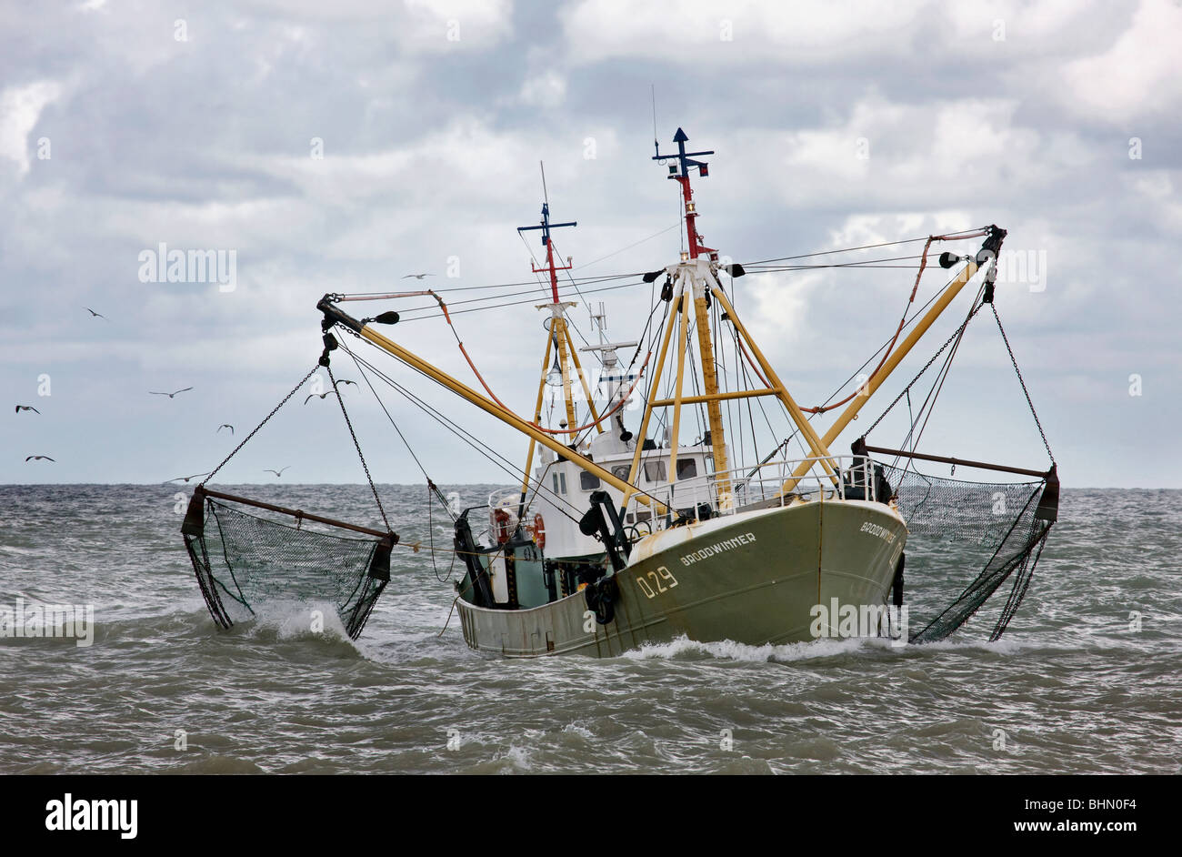 Barca da pesca / Trawler sul Mare del Nord trascinando le reti da pesca, Ostenda, Belgio Foto Stock
