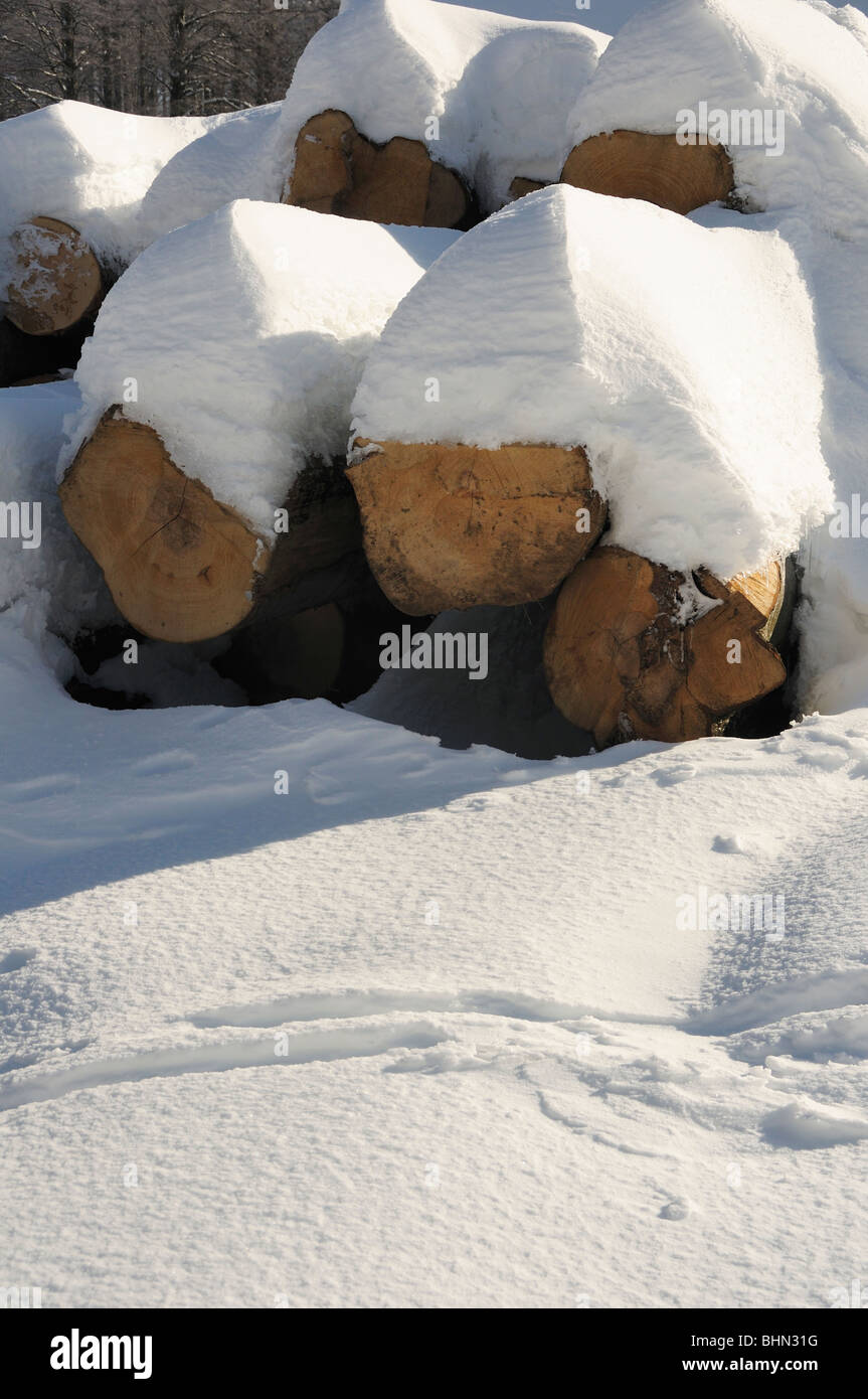 Registra con neve, Gorski Kotar, Croazia Foto Stock