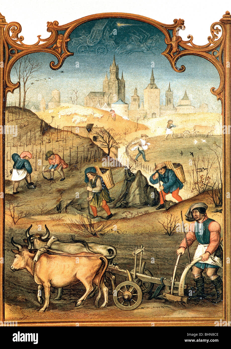 Agricoltura, raccolto, immagine del calendario dal Breviarium Grimani, Biblioteca di San Marco, Venezia, 15th secolo, , Foto Stock