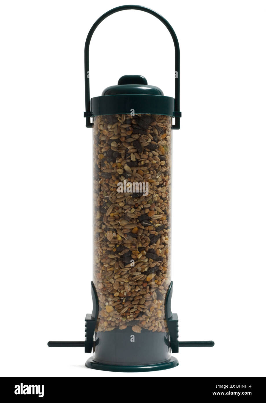 Uccello alimentatore di sementi su sfondo bianco Foto Stock
