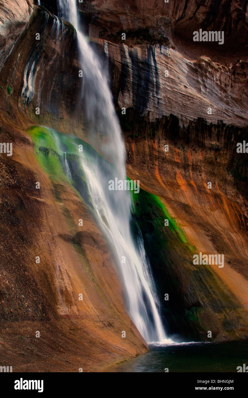 Calf Creek Falls, Scalone, Escalante monumento nazionale USA Utah. La molla Foto Stock