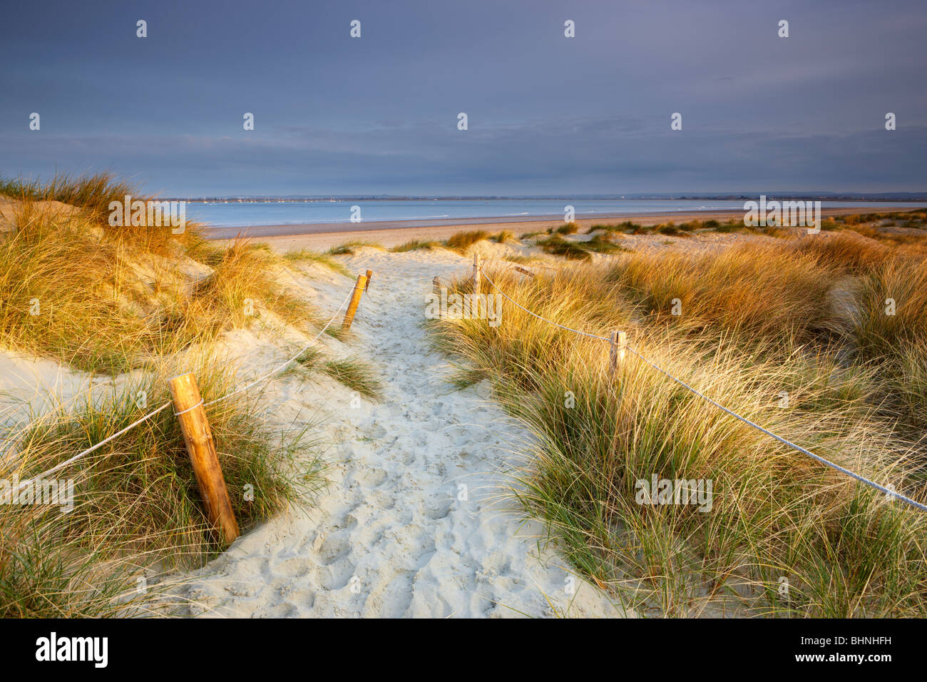 Le dune di sabbia a est del Capo, West Wittering. Primi raggi del sole la rottura attraverso la nube di balneazione marram l'erba in calda luce dorata Foto Stock