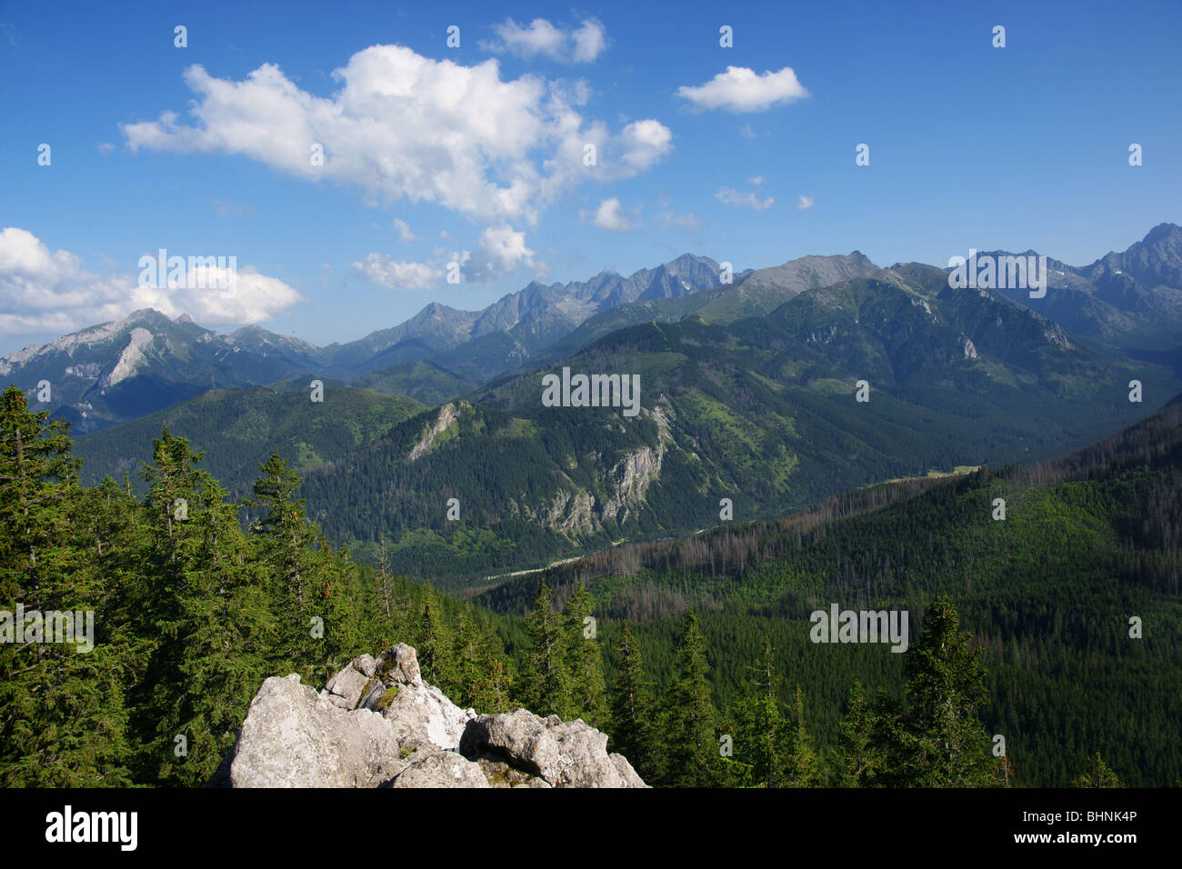 Panorama della bellissima montagna polacco Tatra Foto Stock
