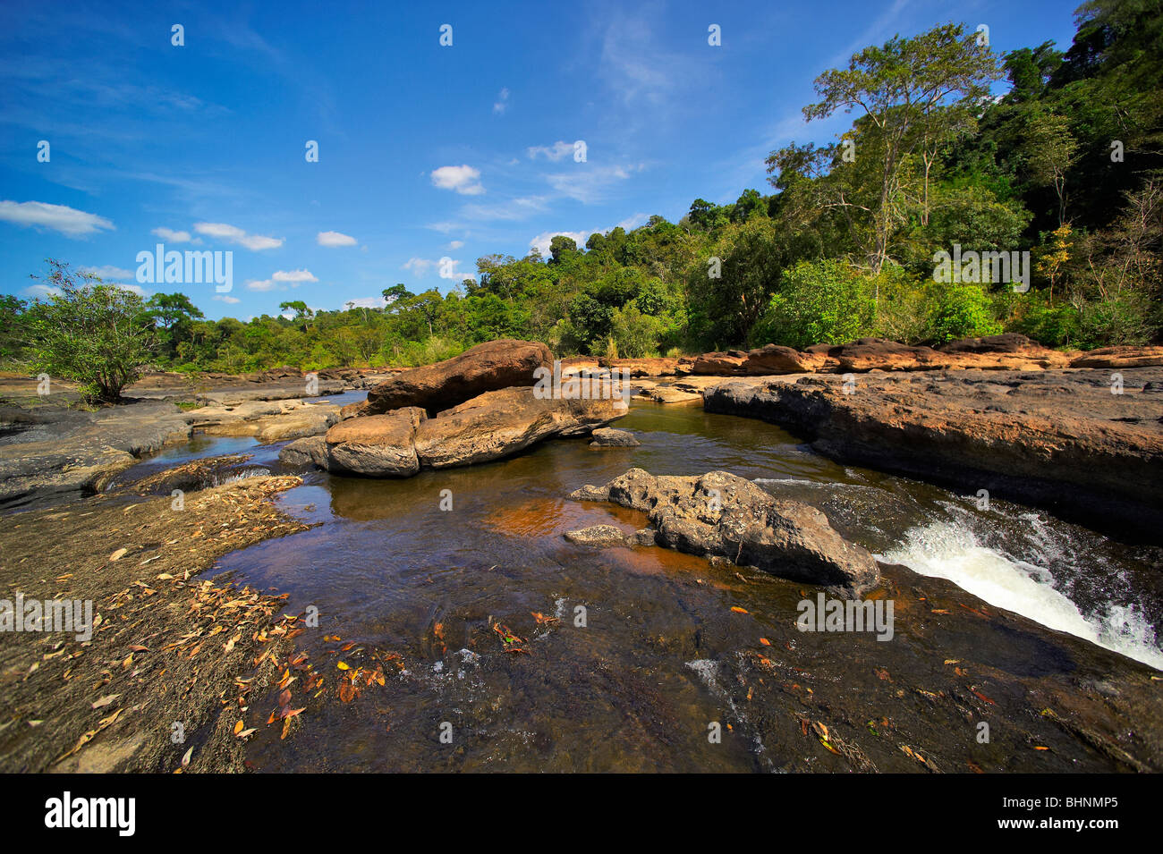 Nam Leuk fiume nella stagione secca. La foresta tropicale. Laos. Foto Stock