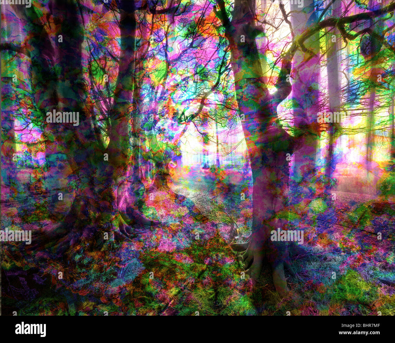 Arte digitale: la magia dei boschi Foto Stock