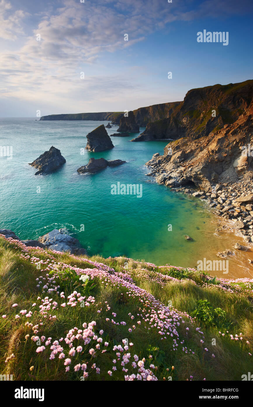 Inizio estate sul Cornish clifftops affacciato Bedruthan Steps con tardo pomeriggio di sole che filtra attraverso il cloud Foto Stock