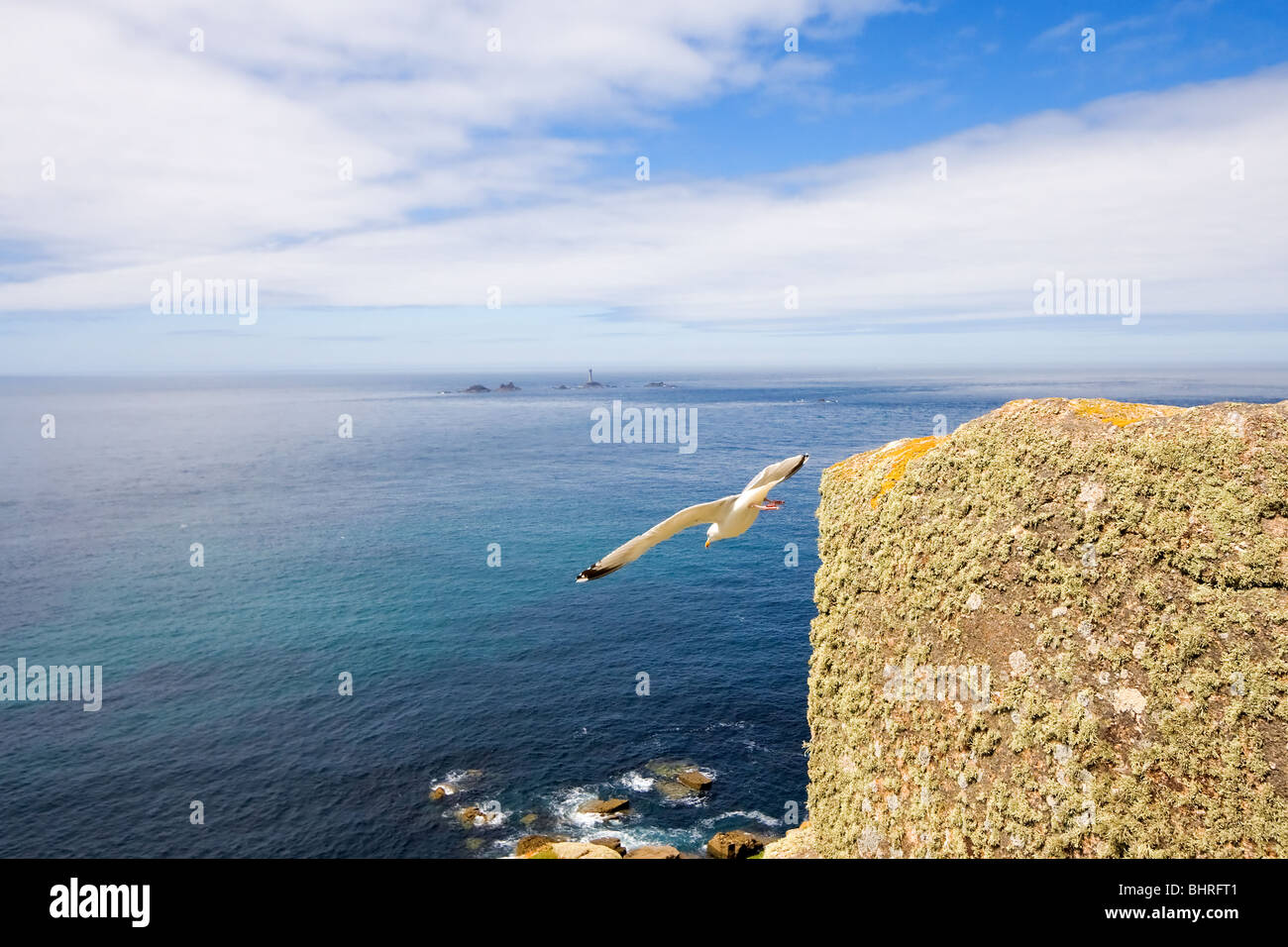 Seagull di prendere il volo da scogliere sul mare a Lands End, Cornwall, Regno Unito Foto Stock