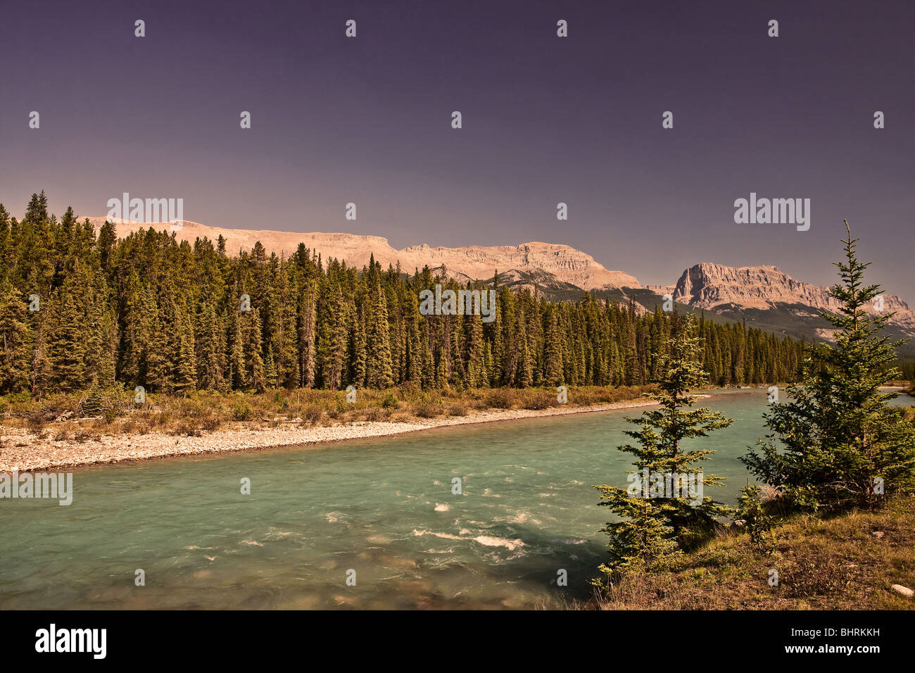 Il Fiume Bow - Parco Nazionale di Banff - Alberta - Canada Foto Stock