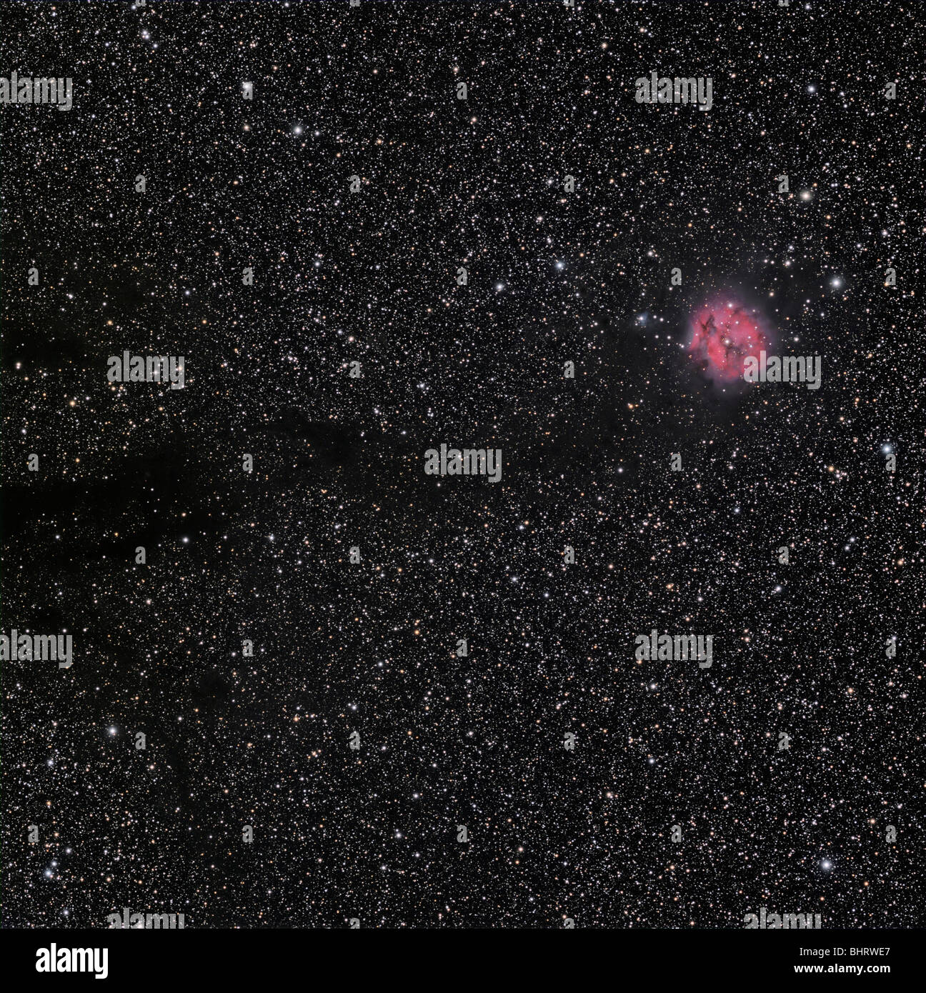 IC 5146 e il Sh 2-125, Cocoon Nebula nella costellazione del Cigno. È inoltre visibile la nebulosa oscura Barnard 168. Foto Stock