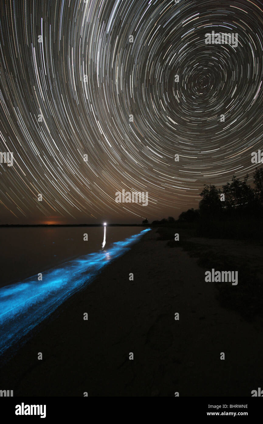 Tracce stellari oltre la bioluminescenza in onde sulle rive dei laghi Gippsland, Victoria, Australia. Foto Stock