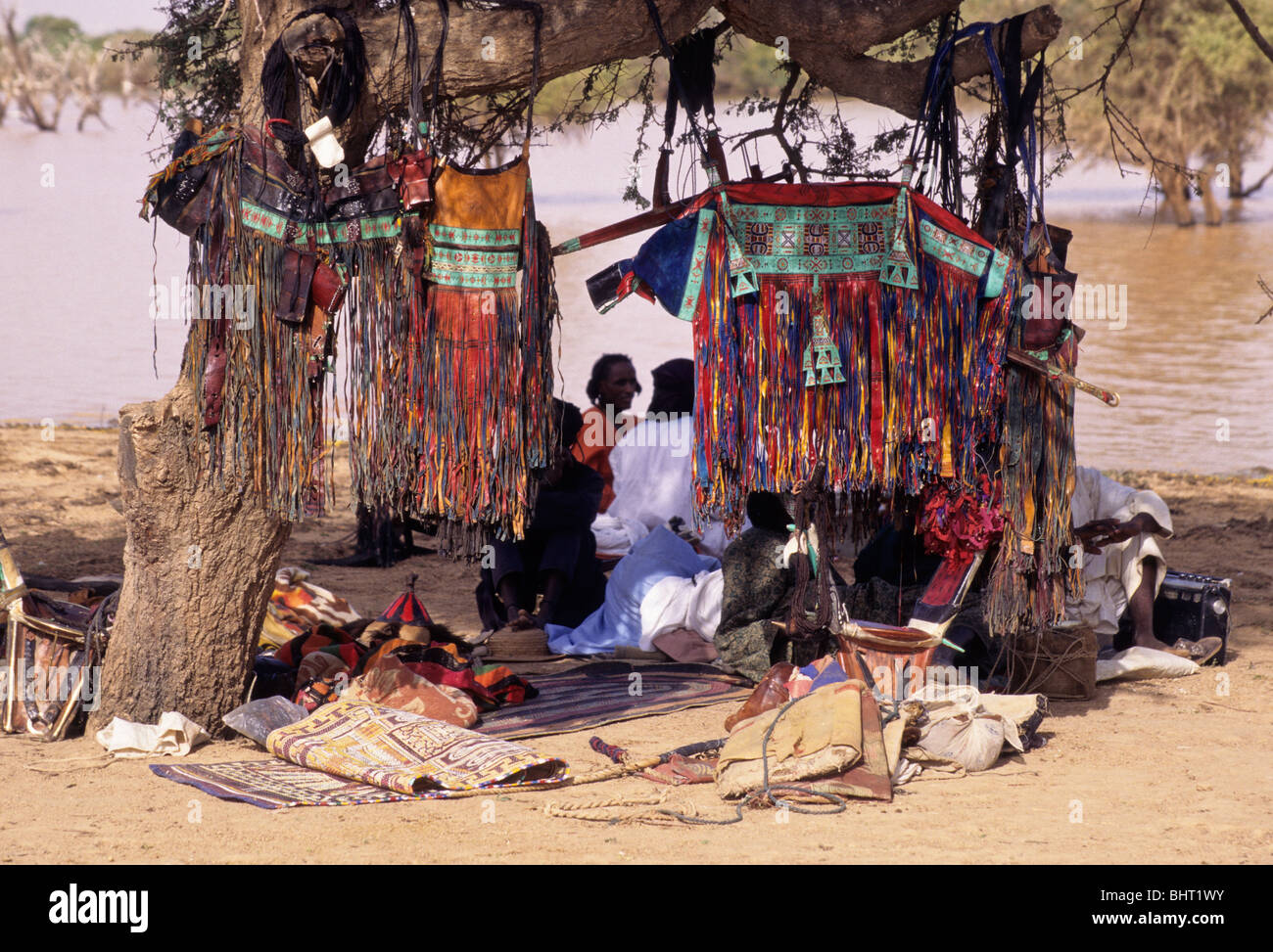Sacchetti di cammello, decorativi Lavori di cuoio, appeso su alberi di acacia come Fulani uomini Chat Mid-Day, Fulani annuale raduno, Gerewol. Foto Stock