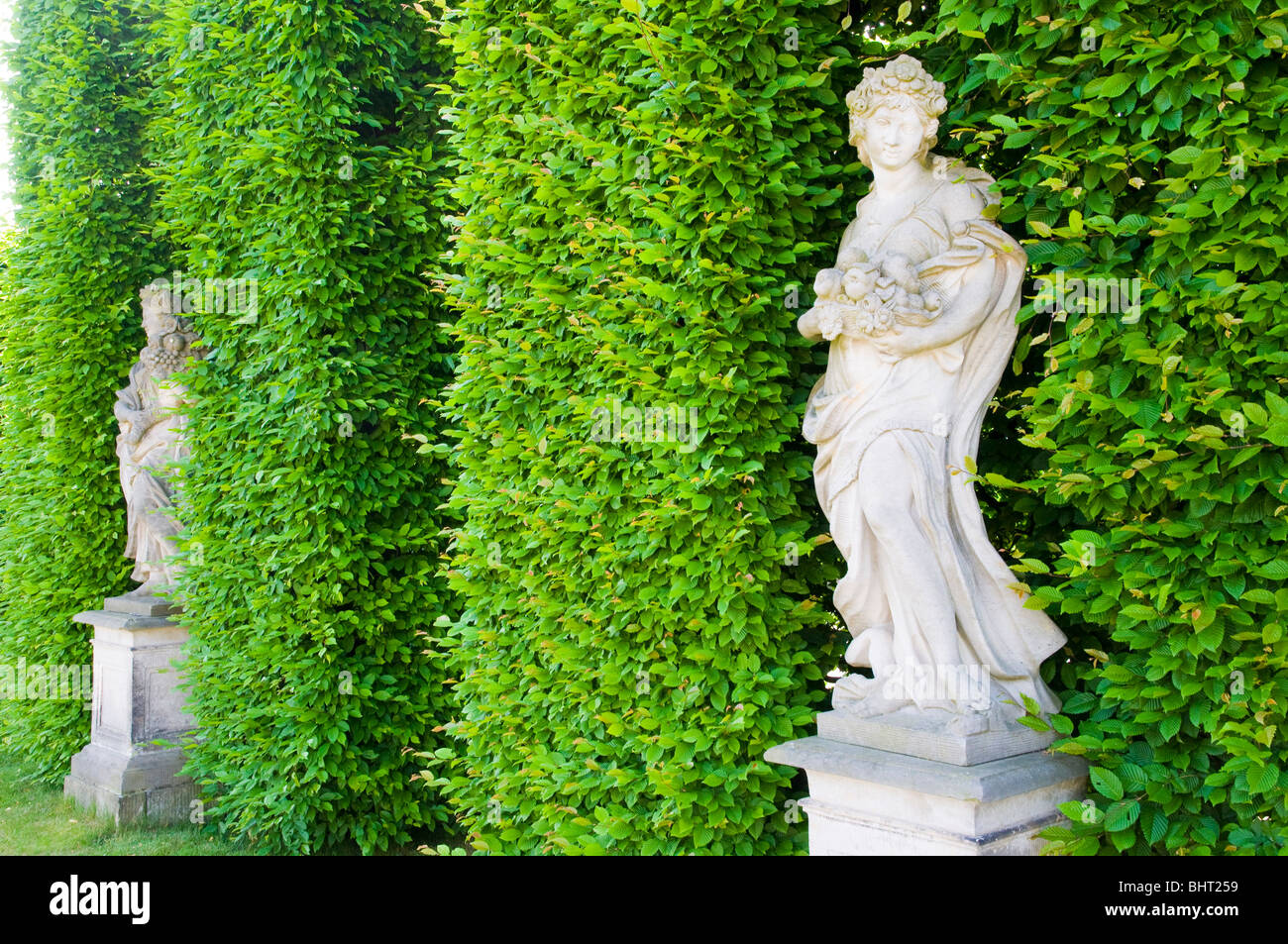 Giardino barocco Grosssedlitz, statue di fronte ad una siepe, Dresda, Germania Foto Stock
