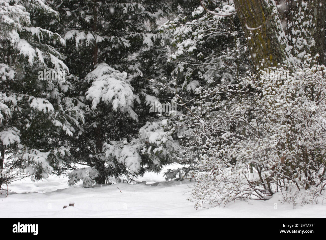 Scena invernale dopo la nevicata Foto Stock