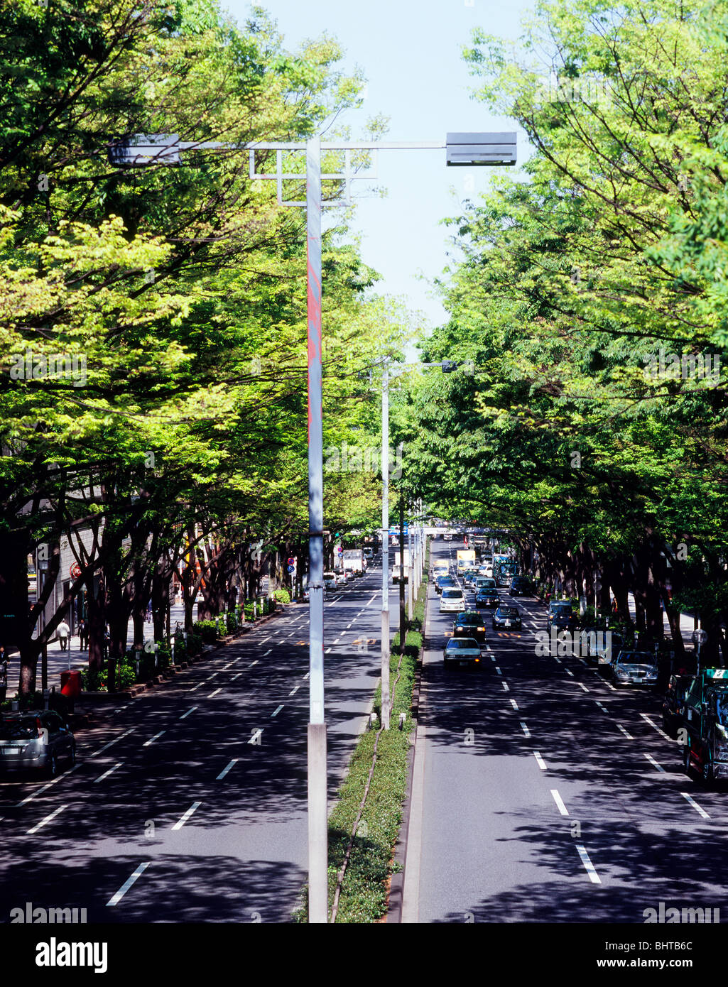 Omotesando, Shibuya, Tokyo, Giappone Foto Stock