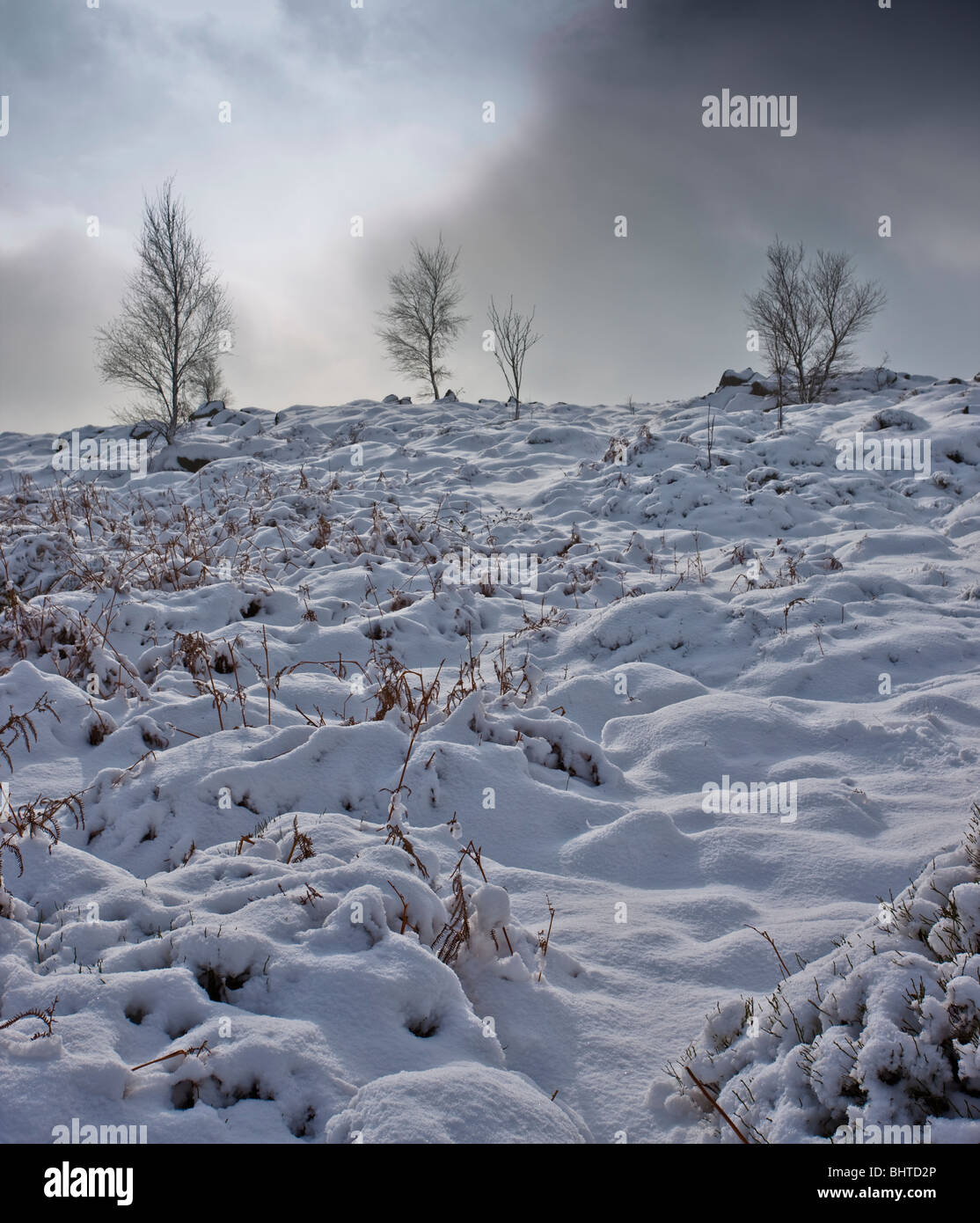 Gli inverni di paesaggio, neve che ricopre il terreno e sugli alberi a rocce Sharpley, vicino Monte San Bernardo Abbey Foto Stock