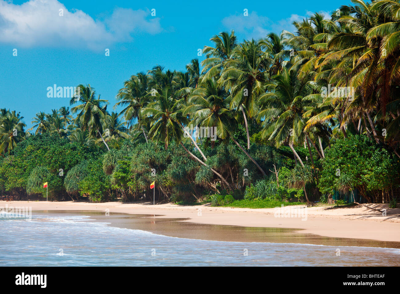 Paradiso tropicale spiaggia idilliaca. Mirissa, Sri Lanka Foto Stock