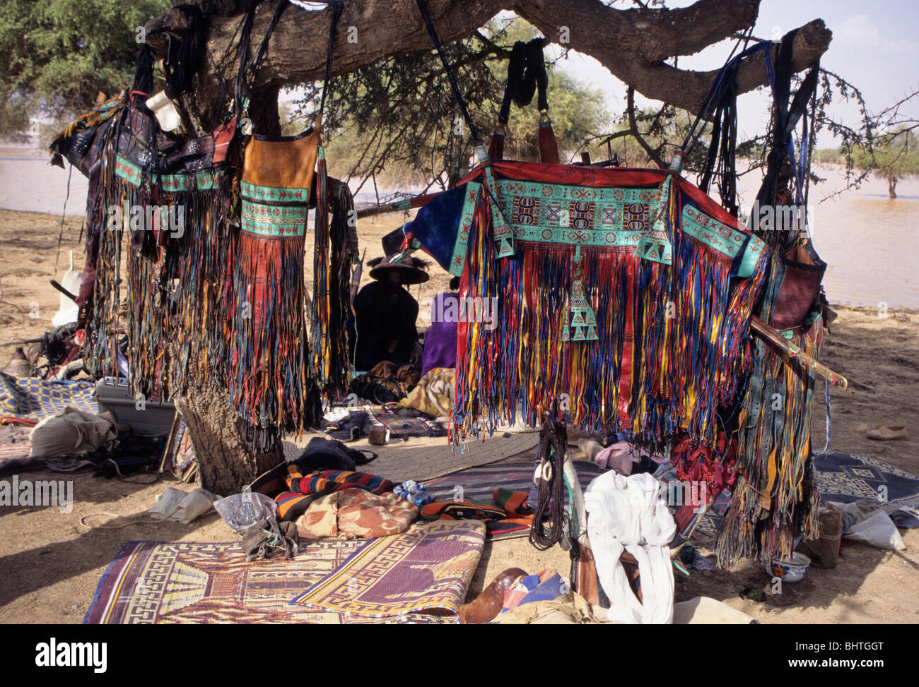Sacchetti di cammello, decorativi Lavori di cuoio, appeso su alberi di acacia come Fulani uomini Chat Mid-Day, Fulani annuale raduno, Gerewol. Foto Stock