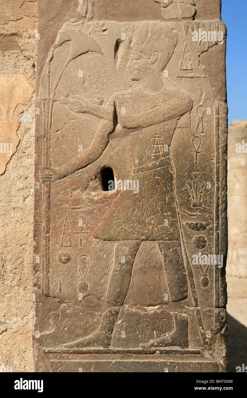 Rilievo di parete di un uomo con un papiro stelo al Tempio di Luxor a Luxor, Egitto Foto Stock