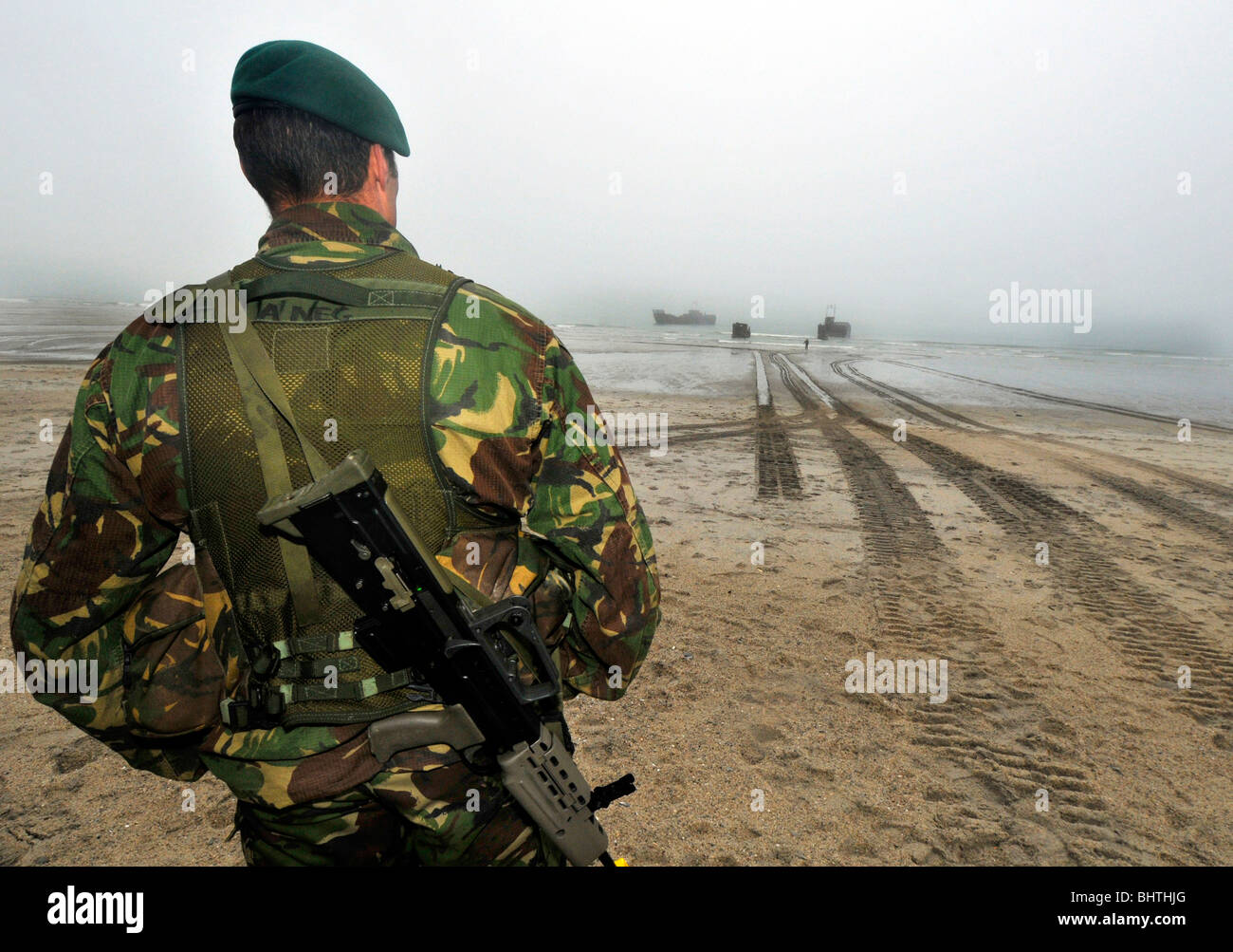 "Royal Marines' Sbarco sulla spiaggia Foto Stock