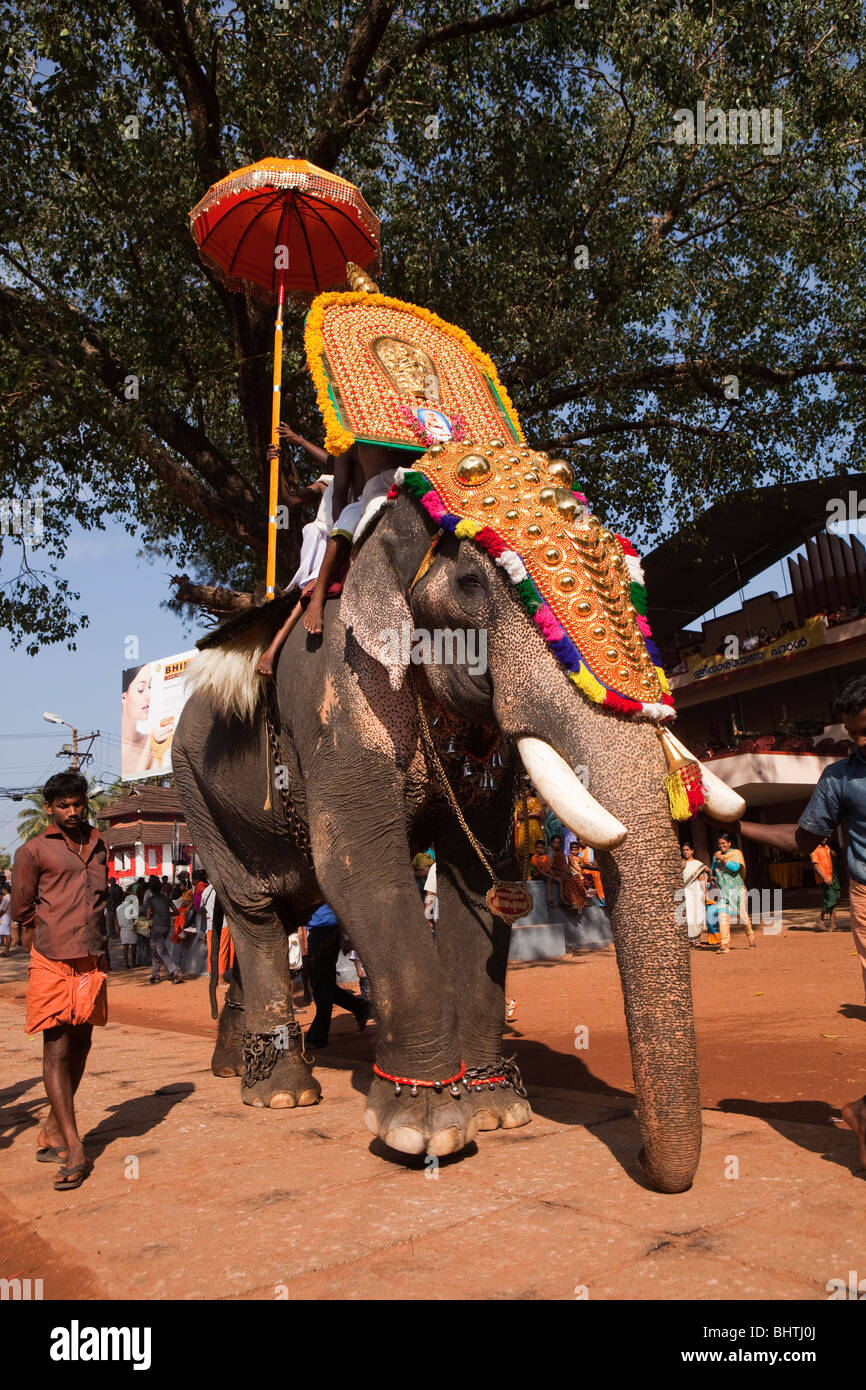 India Kerala, Koorkancherry Sree Maheswara tempio, Thaipooya festival Mahotsavam caparisoned elefante in arrivo Foto Stock