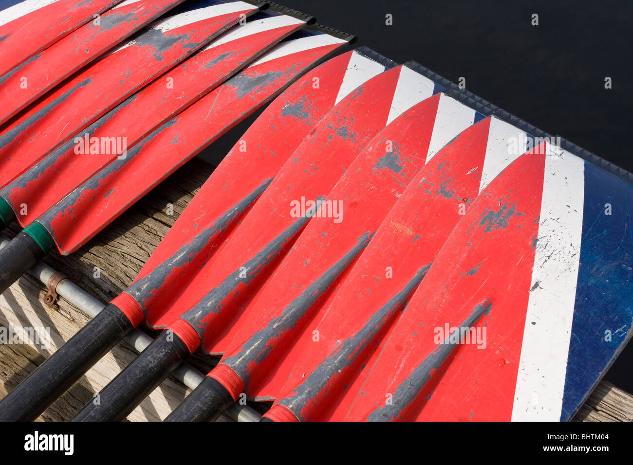 I remi per un equipaggio del team allineate su un dock in preparazione prima di una gara. Foto Stock