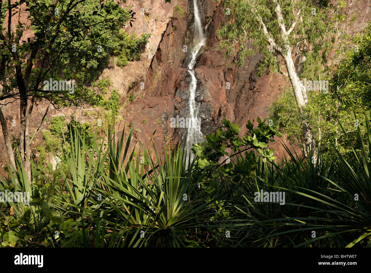 Wangi Falls a Litchfield Nationalpark, Territorio del Nord, l'Australia Foto Stock